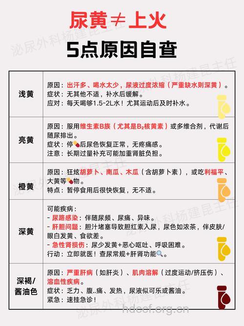 尿液发黄是什么原因造成的