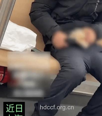 惊!男科病与裤拉链有关