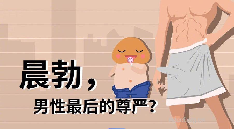男性勃起的背后