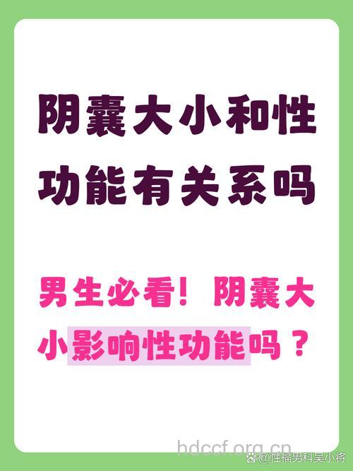 睾丸大小与性能力是否有关