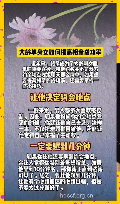 剩女必备:剩女相亲攻略