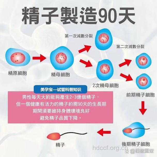 精子能不能人工制造