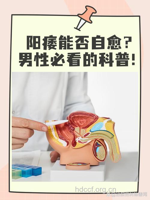 哪些人容易得阳痿呢