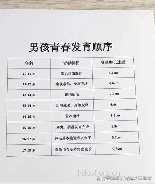 男人“小弟弟”的成长路程