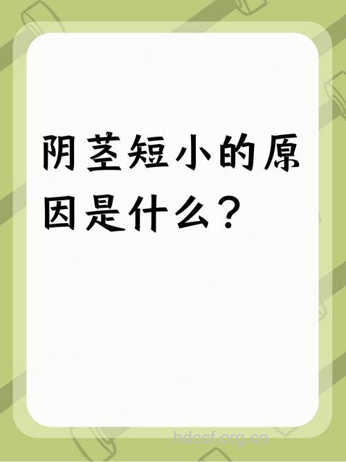 为啥我的“小弟弟”如此短小