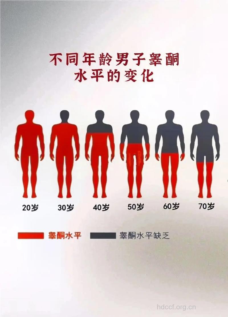 男人的睾丸素水平直接影响到寿命