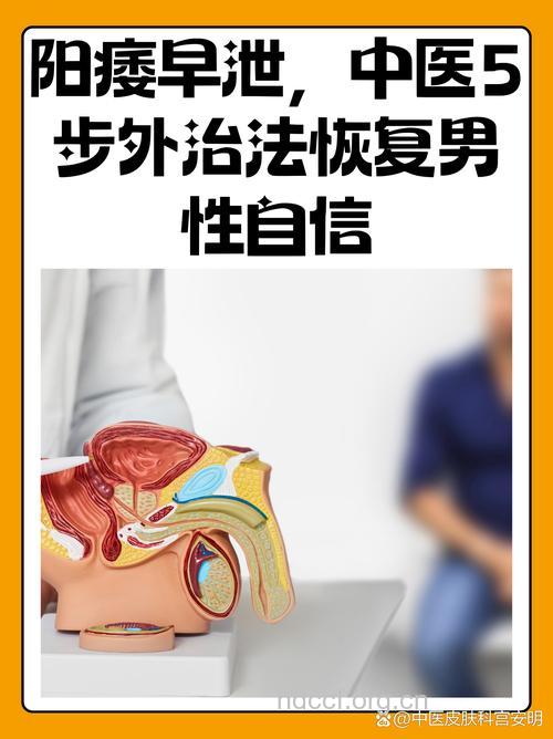 男人阳痿该怎么恢复呢？