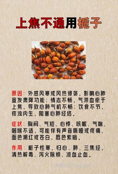 中医三大药膳 远离阳痿烦恼