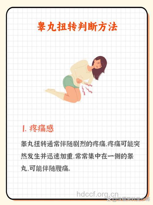 睾丸疼痛，需鉴别附睾炎和睾丸扭转