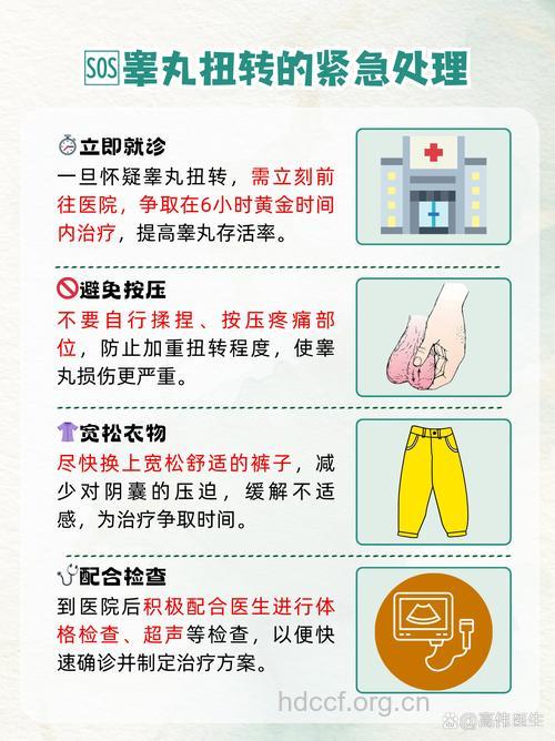 睾丸疼痛需警惕睾丸扭转