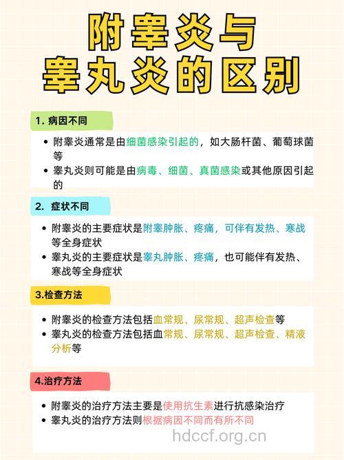 附睾炎的中医分类有哪些？