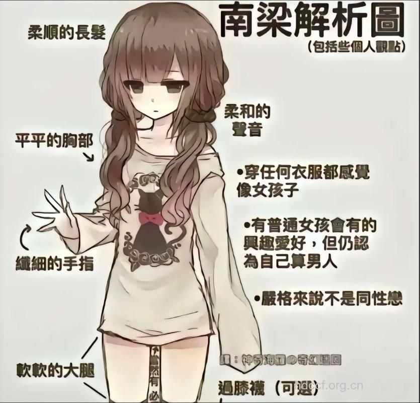 剖析伪娘是易性癖还是同性恋?