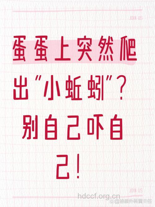 阴囊上青筋暴起是怎么一回事?