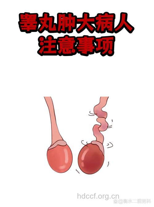 大话男性:睾丸的自白