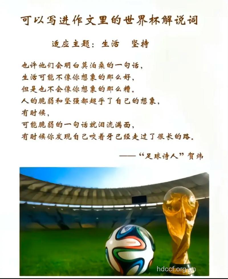 世界杯:看足球与伟哥的微妙关系
