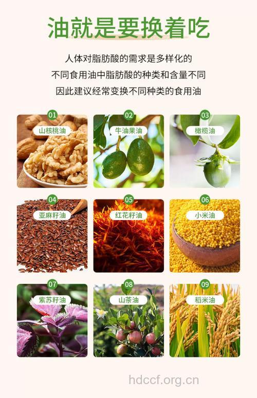 各种食用油的功效