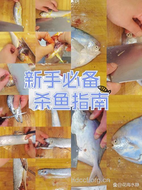切鱼时手不打滑的小窍门