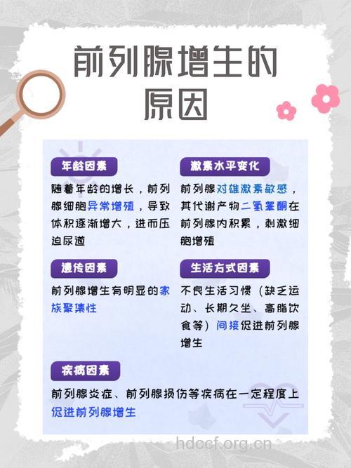 前列腺增生症的病理原因