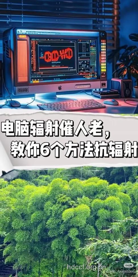 抗电脑辐射的8种好办法