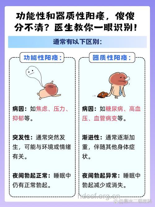 教你认清功能性阳痿与器质性阳痿
