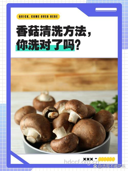 美容小窍门——巧用香菇来补水
