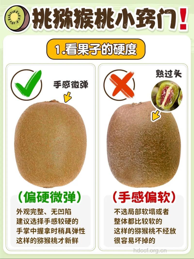 如何挑选猕猴桃