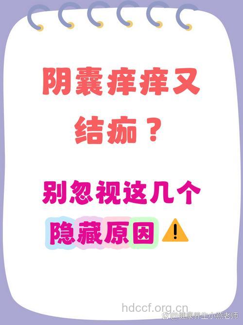 阴囊瘙痒结痂有原因 注意日常护理
