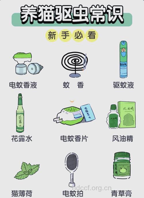 怎样驱蚊安全又有效