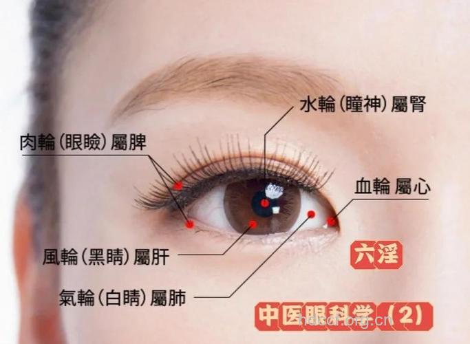 从眼睛看七情六欲