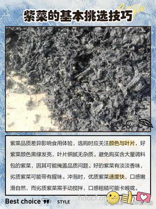 挑选紫菜的正确方法