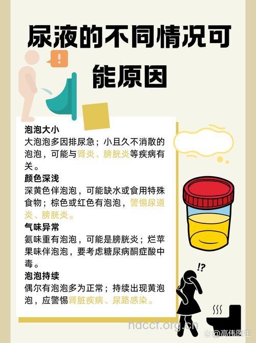 尿液异常恐有隐患 查明原因早治疗