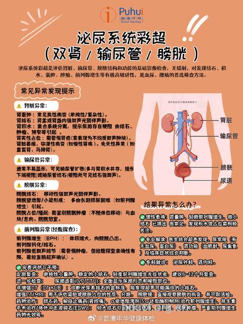 从排尿看男性肾脏健康