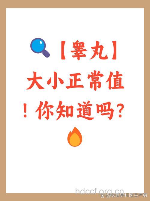 睾丸大小也会影响健康