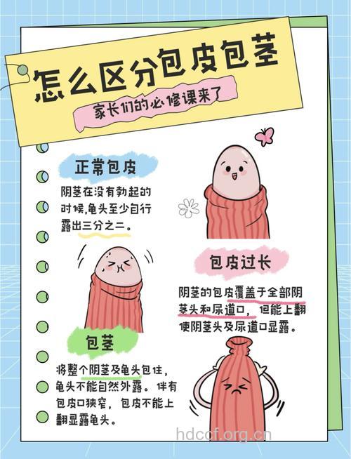 男人包茎的类型及诊断方法