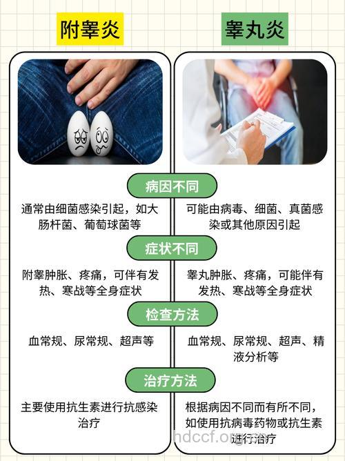 怎么治附睾炎 需分类进行