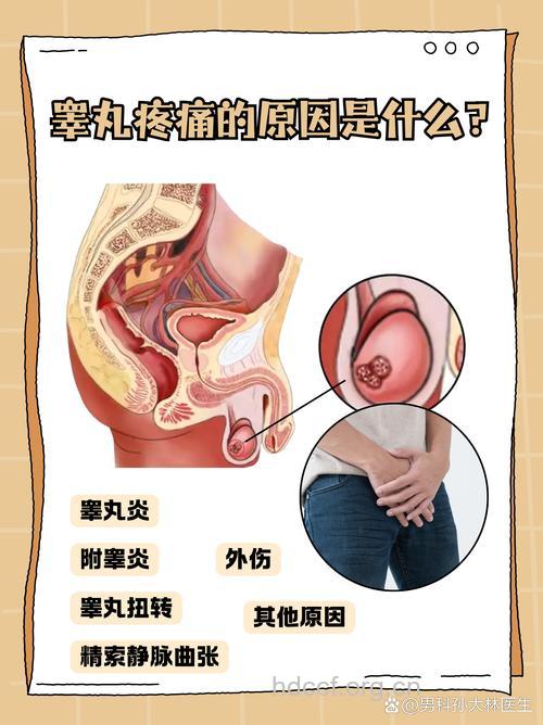 睾丸损伤是怎么回事