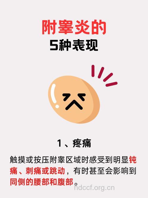 附睾炎的症状表现有哪些 这些都是