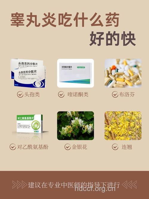 附睾炎吃什么药好 推荐3款中药食疗方