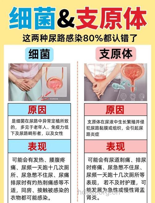 泌尿生殖系统感染的3大信号