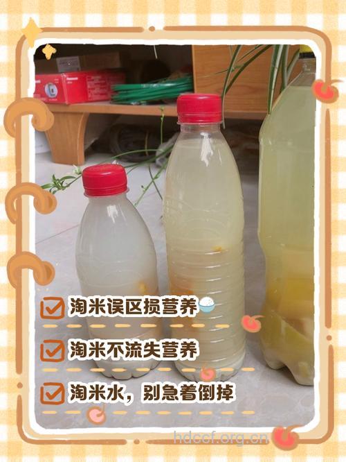 你真的会淘米煮饭吗