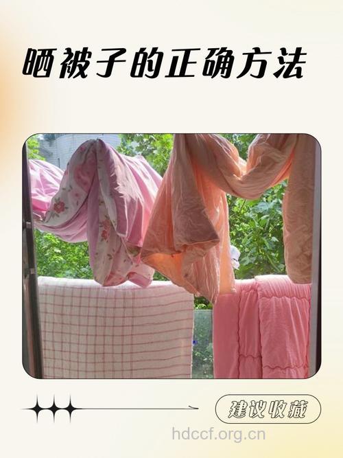 长晒被子益健康 洗晒被子学问多