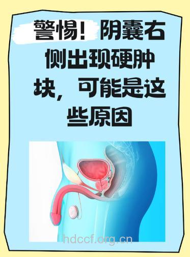 附睾囊肿要切除吗 附睾囊肿有何危害