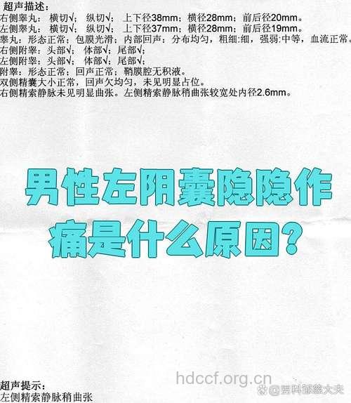 左边睾丸疼是怎么回事