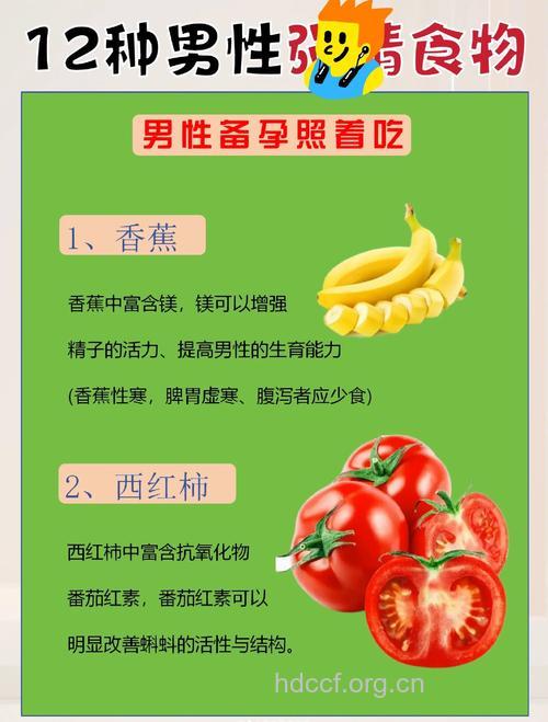 男人备孕要多吃什么食物