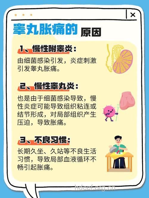 阴囊肿痛坠胀的原因