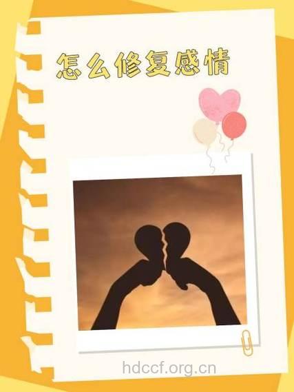 将感情好好“修补“