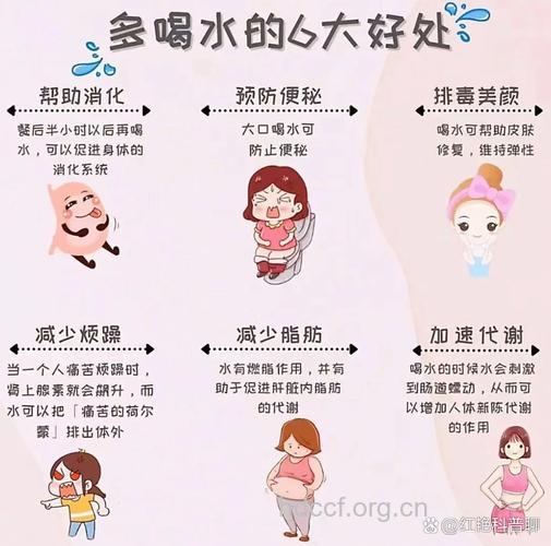 冬天应该多喝水吗