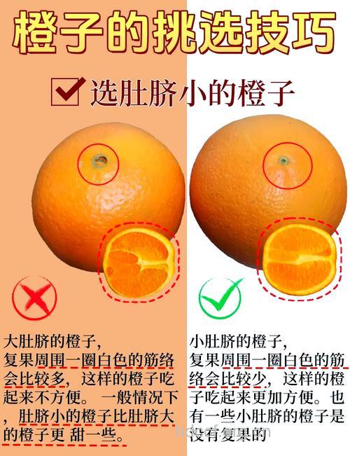 吃橘子的好坏处及挑选方法