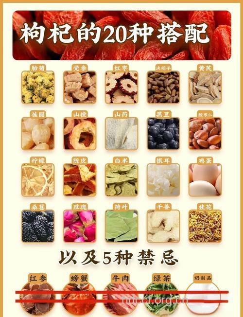 枸杞怎么吃才更滋补