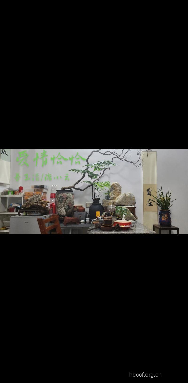 如果把爱情当做一场模仿秀